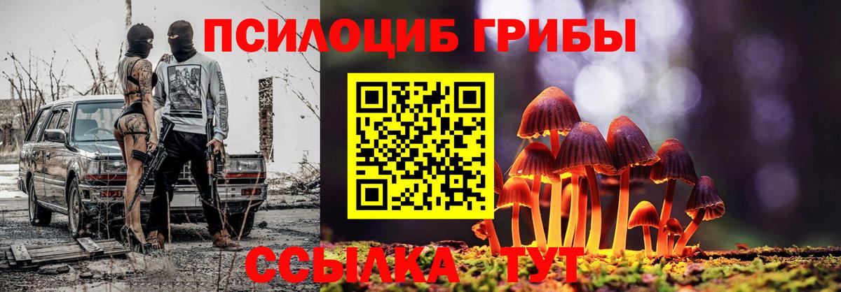 наркота  Вход с VPN  Жигулёвск  Псилоцибиновые грибы мицелий 